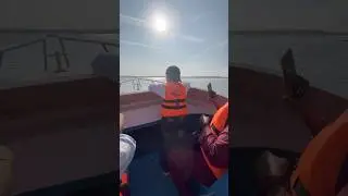 thrilling experience in boat #sailing #ocean #boating #thrill #waterwave #ships #aqualife #shikari