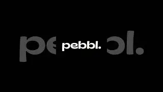 Perfect lil partners for your pebbl!