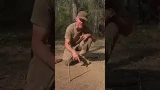 Solar Navigation: (Shadow Stick - Short Method) - Bushcraft Survival Australia