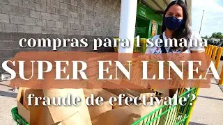 SUPER EN LINEA MI PRIMER EXPERIENCIA AURRERA // COMO FUNCIONA HACER LAS COMPRAS DEL SUPER EN LINEA??