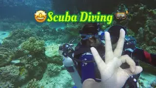Scuba Diving And snorkeling in Yanbu Saudi Arabia|| Red Sea 🥽🤿🏊‍♂️🏊‍♀️🛥 Silver Bell