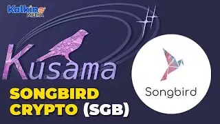 Is Songbird Crypto The Next Big Thing In Crypto Market?