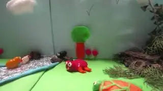 La hormiga exploradora