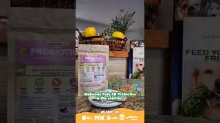 Ideal Digestive Enzymes for your dog's ✅