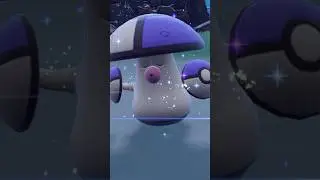 Shiny Entwicklung von Tarnpignon zu Hutsassa - #pokemonscarletandviolet #nintendo #Shorts #pokemon