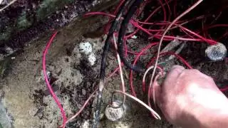 How To Find Out Which Irrigation Sprinkler Zone Goes With Which Zone Solenoid Test