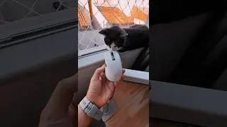 Que mouse senhores 🔥 Yeah Magic Tyrfing v1 #pcgaming #mouse #mousegamer #mousegaming #pcgamer