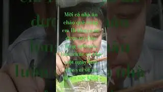ch&aacute;o qu&ecirc;