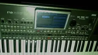 KORG PA 900 (DEMO songs) part 1