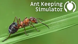 Ant Keeping Simulator | Trailer