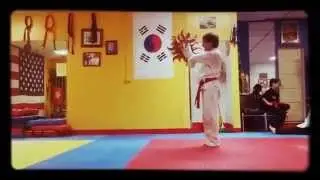 Red Dragon martial arts academy houston texas
