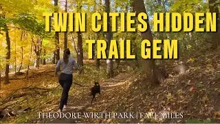 Running the Trails of Theodore Wirth Park | Hidden Gem in Minneapolis