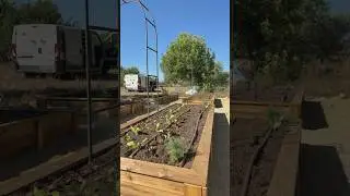 Un huerto no nace bonito, se construye paso a paso.