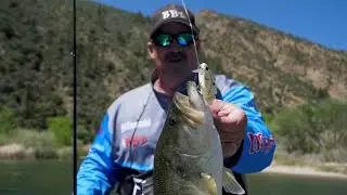 FishLab Bio-Shad Crankbait