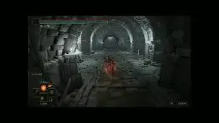 ELDEN RING imp head {wolf} {cat} smithing stone 6, 7 farming location