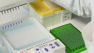 VOYAGER pipette with adjustable tip spacing used for screening applications and genotyping