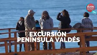 EXCURSIÓN PENÍNSULA VALDÉS y PUERTO PIRÁMIDES 🐧 PUERTO MADRYN