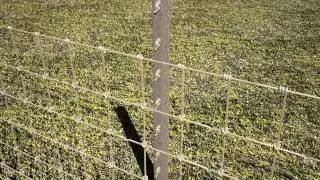 Clipex Post Solution