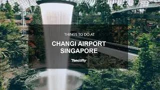 Things to do at Changi Airport | Sanctifly Airport Guides