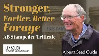 Stronger, Earlier, Better Forage &mdash; AB Stampeder Triticale