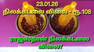 ராஜஸ்தான் நிலக்கடலை விலை நிலவரம் | அதிகரிக்கும் நிலக்கடலை பருப்பு விலை #groundnut #marketprice 