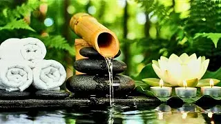 Relax & Sleep Deeply 🌿 Bamboo Water Sounds for Calm Mind