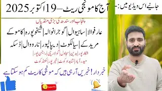 🌾 Pakistan Paddy Rate Today | 19 October 2025 | Punjab & Sindh Mandis | rate kam hona ki news a re 