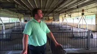Meet a MN pig farmer!