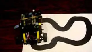 Microbot Tritt following a black path