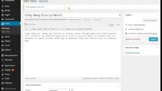 Noise WordPress Theme Guideline How to use SoundCloud player to play tracks