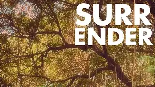 SURRENDER NOW-   AMBIENT SOUNDSCAPE