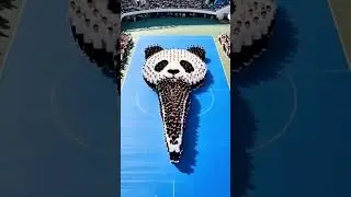 panda tragedy