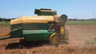 batteuse tract&eacute;e / coriandre /epices /Tunisie