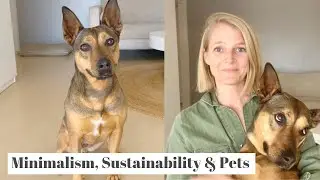 Minimalism, Sustainability & Pets | Sustainable Dog Care