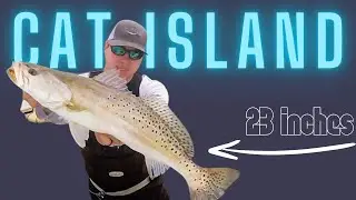 BIG SPECKLED TROUT, Wade Fishing SOUTH Mississippi