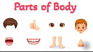 Parts of Body for Kids | Learn Body Parts | Kids Learning Video 