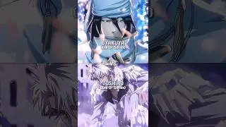 Byakuya Kuchiki VS Toshiro Hitsugaya #bleach
