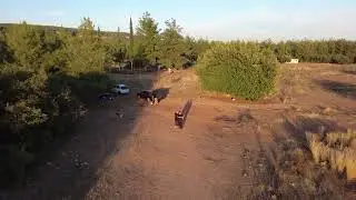 Dronie (Uzaklaşma) Mod -DJI Mini 4K-