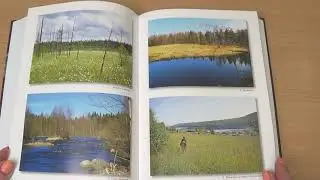 Обзор книги 