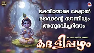 ഭക്തിയോടെ കേട്ടാൽ ഭഗവാൻ്റെ സാന്നിധ്യം അനുഭവിച്ചറിയാം | Sree krishna Songs Malayalam