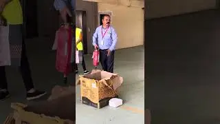 🔥 Fire Mock Drill | Safety Training & Evacuation Procedure Explained 🚨
