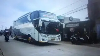 TUMBEN BANGET⁉️||SJM TRANS
