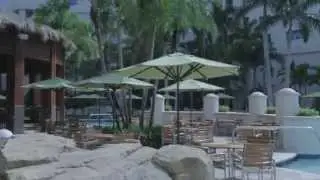 A Day at The Seminole Hard Rock Hotel and Casino