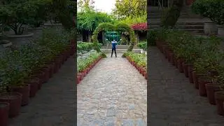 Lodhi Garden in Delhi | Exclusive Yograj