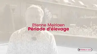 Conseils d'Etienne Meirlaen aux &eacute;leveurs de pigeons - saison d'&eacute;levage