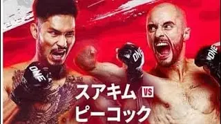 One173 Peacock vs Suakim(Jake Peacock vs Suakim Sor Jor Tongprajin) - main fight