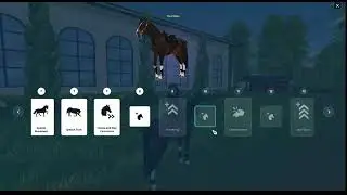 Training Layla from my community post :d // Star stable online
