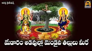 Medaram Adaullo Mendaina Thallulu Meere