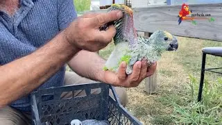Fark Yaratacak Yeni Ürünümüz