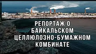 Репортаж о БЦБК